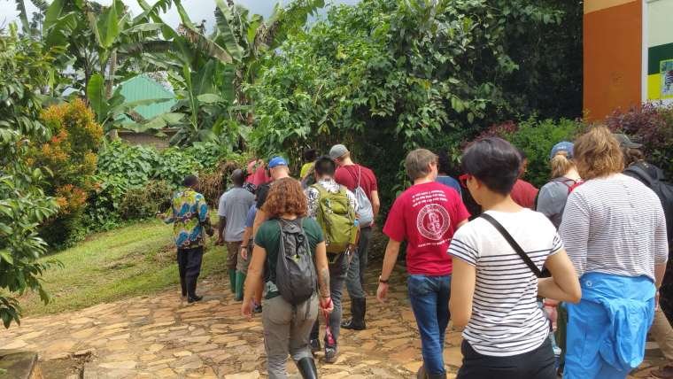 Guided forest walk trail